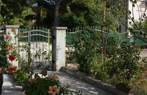 Apartments Rajcic - Photo 19