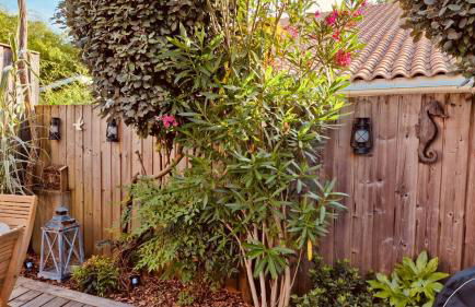 Cocon entre presqu'île du Cap Ferret et plages océanes - terrasse - 1 vélo gratuit - Foto 20