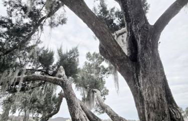 St. Johns Riverside Retreat - Photo 47