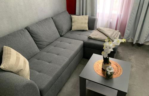 Exklusive Stadtwohnung am Elbradweg: Best-Preis-FEWO Rathausblick 1 für max. 3 Pers. inkl. WLAN, Prime Video & Self Check-In - Foto 8