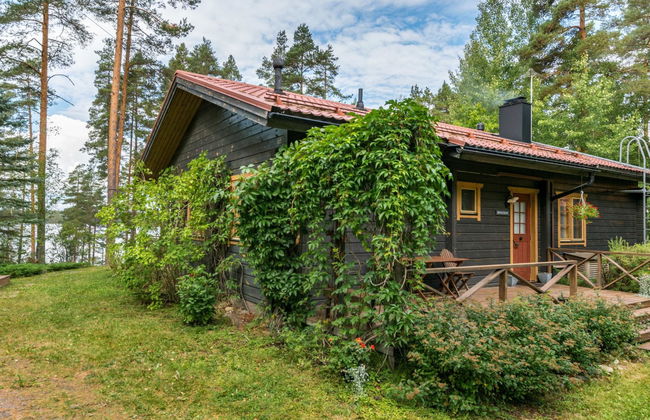 Metsä-iivari - Foto 1