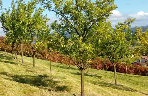 La Casa de Orviz - Foto 27