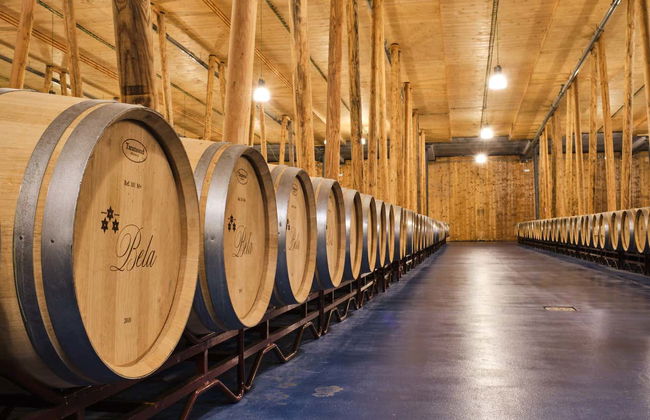 Visita a la bodega Bela - Foto 7