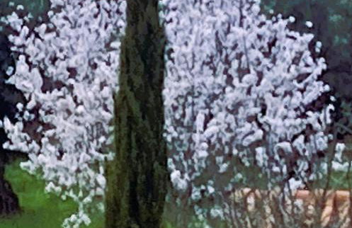 Casa Ar da Beira - Serra da Estrela - Belmonte - Foto 40