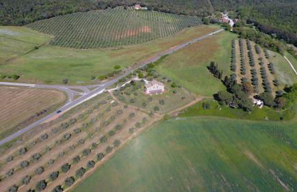 Tenuta La Tabaccaia - Foto 20