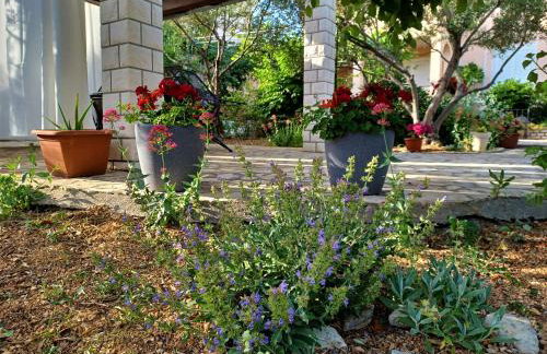 Apartmani Milena - Foto 42