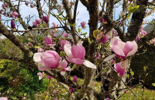 Gîte de France Les hortensias 3 épis - Gîte de France 2 personnes MAE-9614 - Foto 4