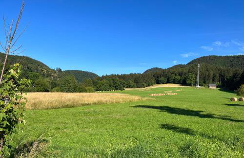 Apartament Empujon Sokołowsko - Foto 39