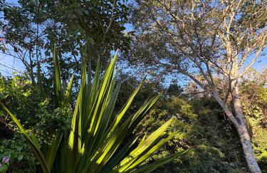 Casa de roça - Foto 41