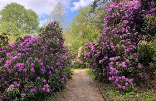 Ferienwohnung am kleinen Bärenstein 01796 Struppen OT Thürmsdorf Thürmsdorfer Str 28 - Foto 21