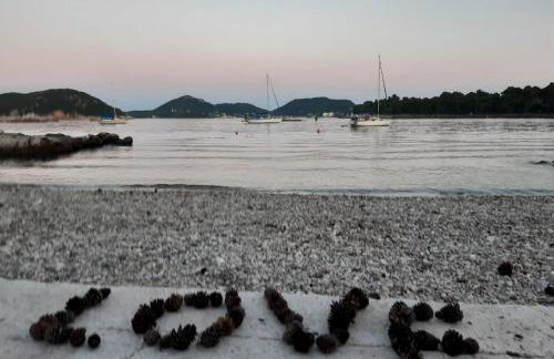 Mali Skoj Apartment - Two-Bedroom Apartment with Sea View - Foto 34