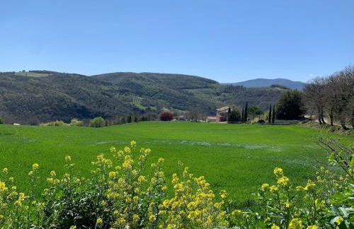 La casa del timo - The house of thyme - Foto 42