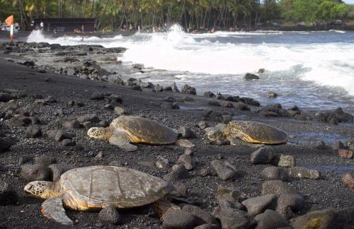 Comfort Nest - Foto 58