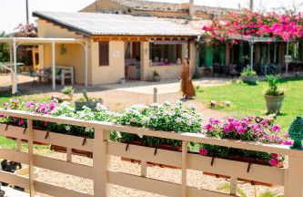 Limora' Tenuta Millaci - Foto 9