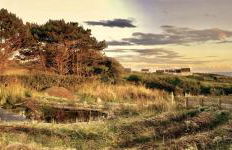 Dernier Ecolodge avant NewYork - Foto 5