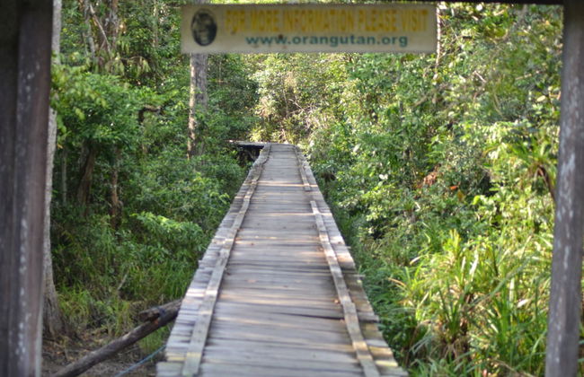 Houseboat Bee Kelotok - Foto 61