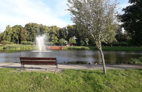 Całoroczny Apartament u Grzegorza - Foto 6