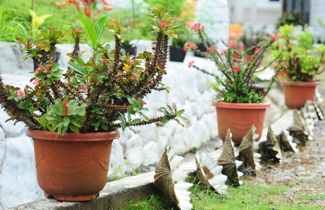 shell villa apartel resort - Foto 27