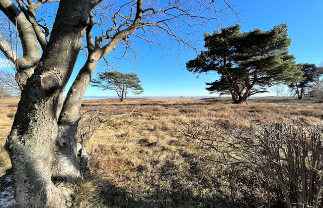 "Toska" - 100m to the fjord - Foto 16