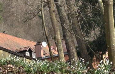 Ferienhaus im Schwarzwald - Foto 18