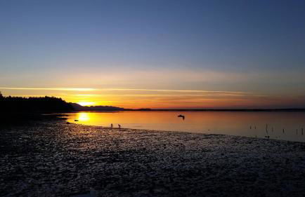 Dungeness Barn House Bed and Breakfast at Two Crows Farm - Foto 11