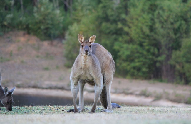 Marima Cottages - Photo 27