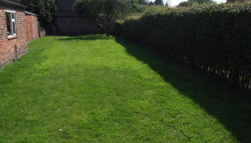 firtrees - Photo 5, Garden