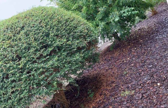 Casa com ALma - Foto 18