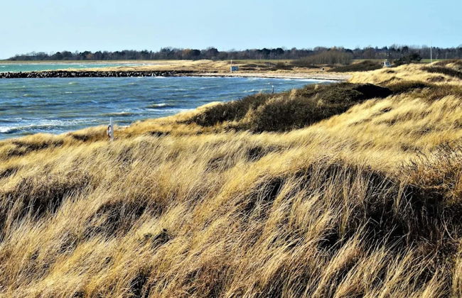 12 Person Holiday Home in Rodby - Foto 47