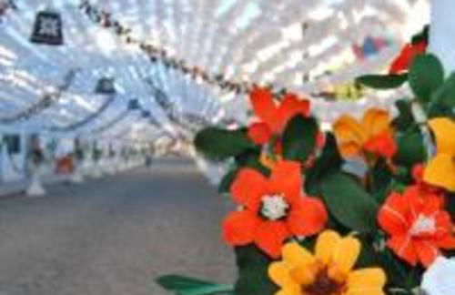 Casa BENVINDHA - Foto 1