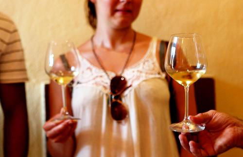 Fattoria Fibbiano - Foto 141