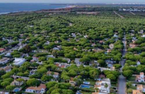 Villa Escocia, entre pinares y a pie de playa - Foto 35