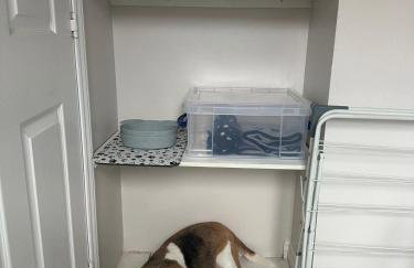 Hereford - Finch House - Modern 4 Bedroom House Located in South Hereford, Dog Friendly With Nearby Countryside, Pool Table, Sleeps up to 10 Guests - Hosted by RENTMYHOUSE - Foto 29