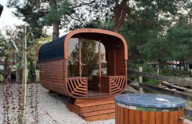 Mazury "Willa Ślimakowo" w Pasymiu - jacuzzi, sauna, pomost, łódka, rower wodny - Photo 8