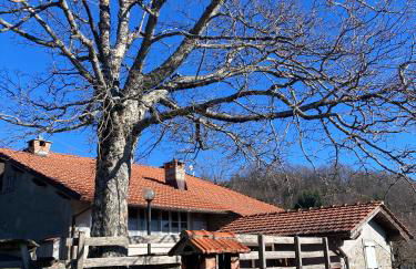 Casa Sperandini - Foto 67