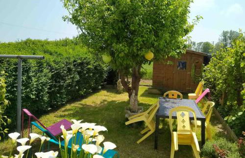 les Albatros - Foto 7