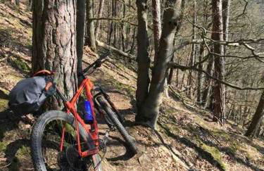 Fachwerkhaus im Sauerland - Goldhase Anno 1700 - Foto 58