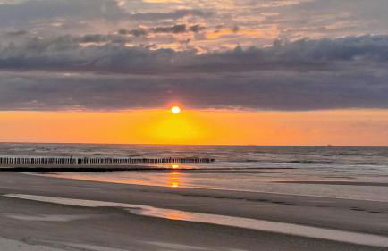 Hund im Glück - Foto 19