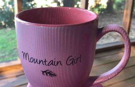 Cabin at the cove at Watauga Lake - Foto 14