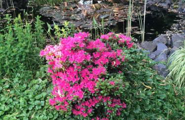 Gemütliche Fewo Nähe Hachenburg, Bad Marienberg - Foto 9