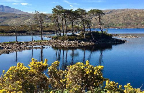 Beautiful cottage in a wonderful Highland setting - Foto 27