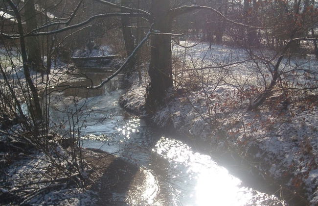 Retreat With Sauna & Games - Foto 33