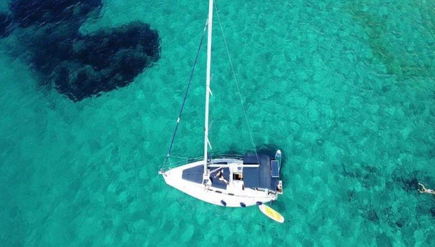 Navega medio día en velero:bebidas, comida y baño en el Mediterraneo, desde Palma - Grupos reducidos - Foto 3