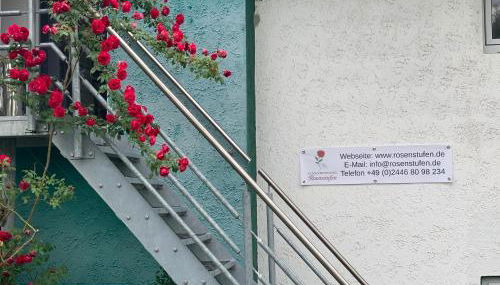 Rosenstufen - Foto 2