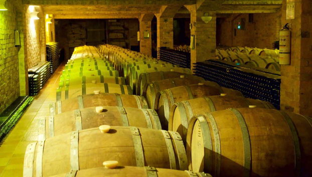 Visit to the Marques Villa de Leyva Vineyard - Foto 5