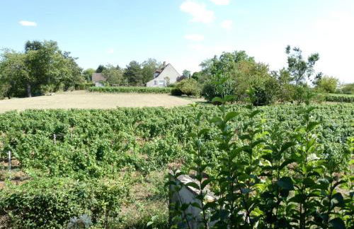 Chez voisine - entre la Loire et le vignoble - Foto 15