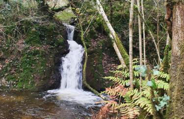 Gites de lardanva - Foto 44