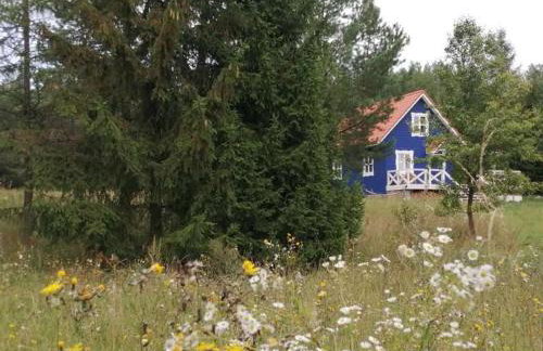 Święty Spokój Łąka i Woda - Foto 40