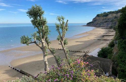 6 Shanklin Manor - family friendly apartment in Shanklin Old Village - Photo 45