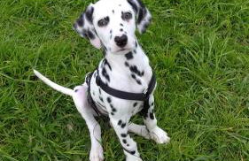 Quinta da Maria - Foto 31